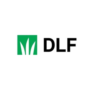 DLF logo